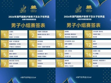 爱游戏体育app下载-世界杯男单抽签：王楚钦之外无人有把握小组出线